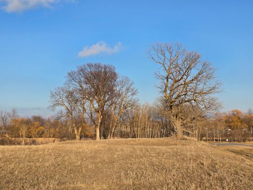 Lot 8 Branch Creek Road, Detroit Lakes, MN, 56501 | Card Image