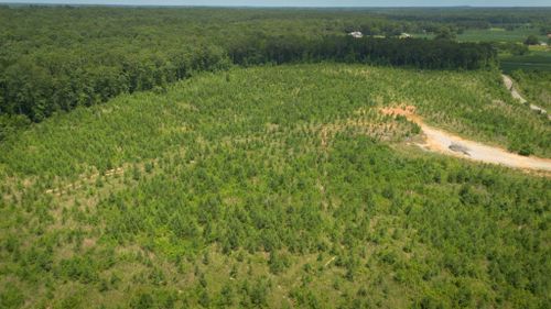 0 Young Rd, Finger, TN, 38334 | Card Image