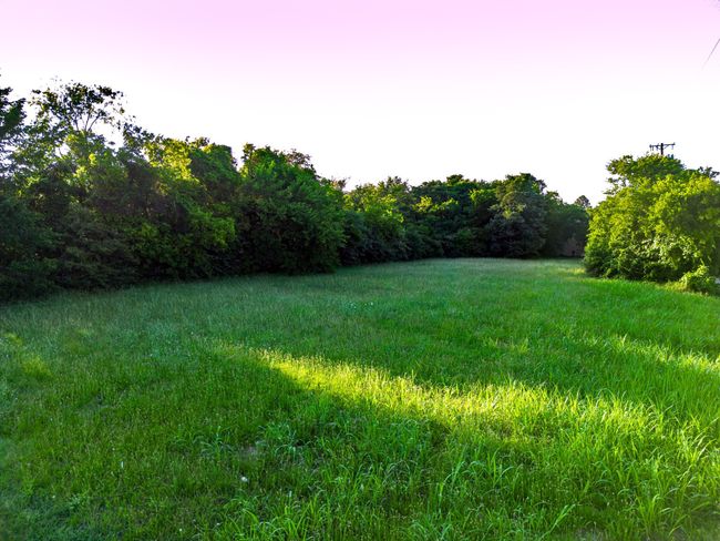 View of yard | Image 16