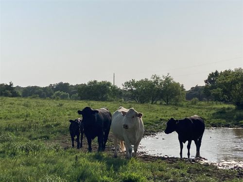 0 TBD Hcr 1414, Covington, TX, 76636 | Card Image