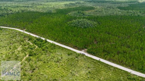 0 Fire Tower Rd, Manor, GA, 31550 | Card Image