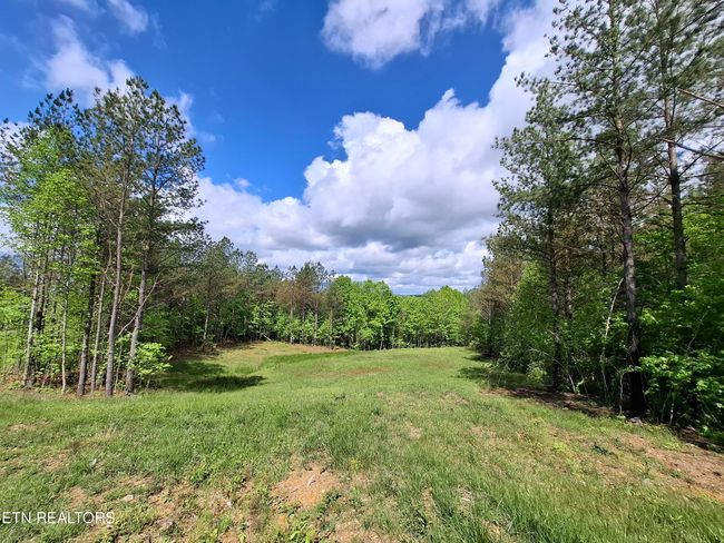 38 Stonecipher Ct, Home with 0 bedrooms, 0 bathrooms and null parking in Sunbright TN | Image 12