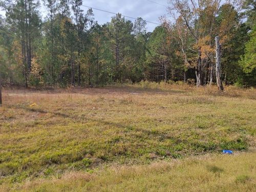 691 W Trilby Street, Wrightsville, GA, 31096 | Card Image