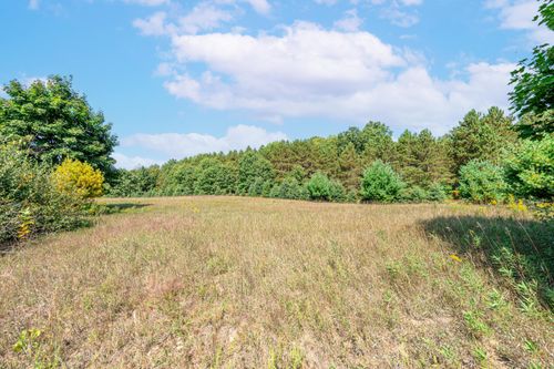 Unit 2 University Dr, Big Rapids, MI, 49307 | Card Image