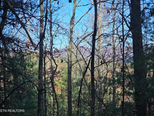 120 Greystone Way, Townsend, TN, 37882-4148 | Card Image