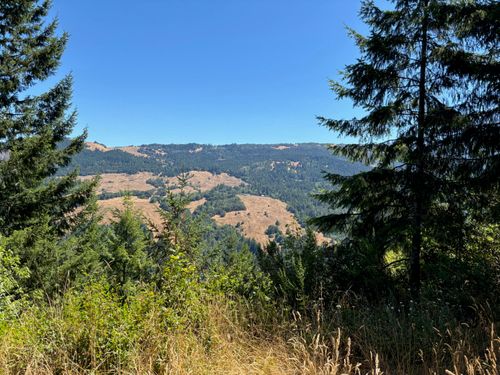 0000 Thorpe Lane, Kneeland, CA, 95549 | Card Image