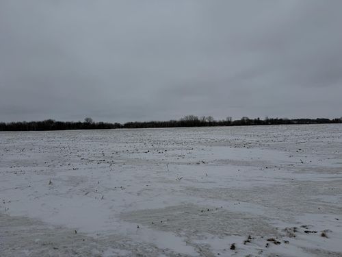 31 Lake George Township, Belgrade, MN, 56312 | Card Image