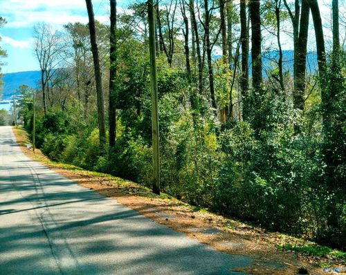 11 Richardson St, Guntersville, AL, 35976 | Card Image