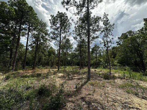 0 Highway 0041, Box Springs, GA, 31801 | Card Image
