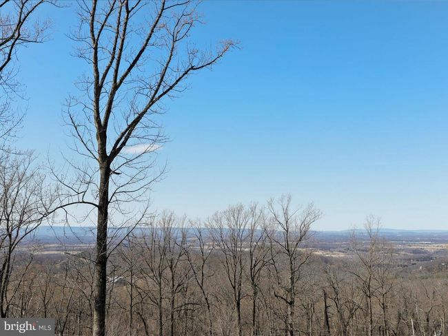 137 Reid Dr, House other with 3 bedrooms, 2 bathrooms and null parking in FRONT ROYAL VA | Image 46