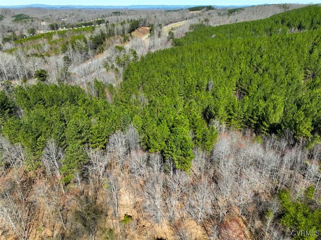 30.19 Acres (Off Of) Belvedere Dr, Home with 0 bedrooms, 0 bathrooms and null parking in Fieldale VA | Image 14