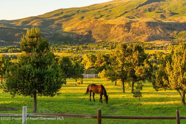 Meticulously cared for pristine pasture perfectly sited next to a beautiful deck that spills from the great room for ideal entertaining moments. | Image 7