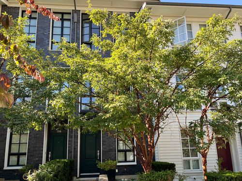 105-548 Foster Ave, Coquitlam, BC, V3J0E2 | Card Image