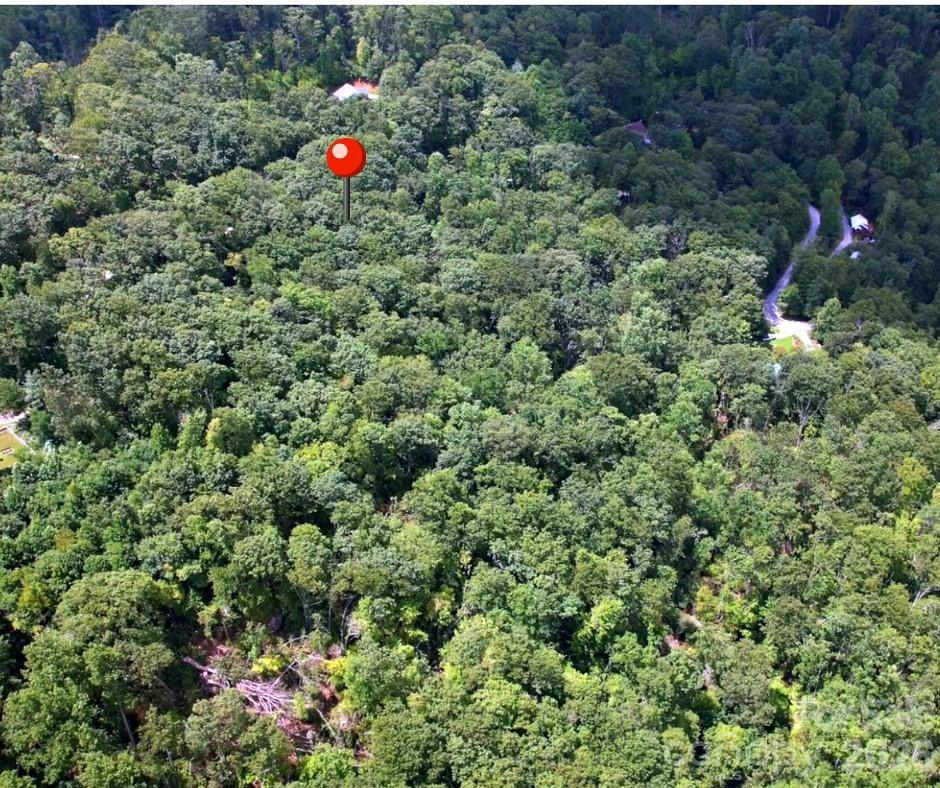 Land in Hendersonville 2