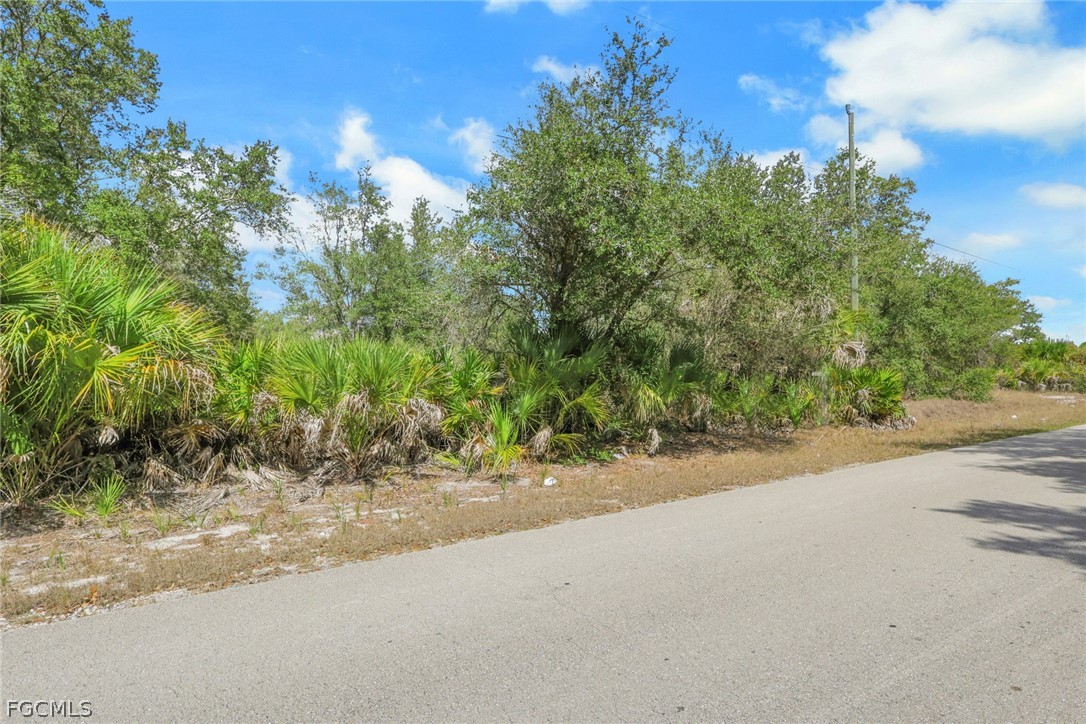 Land in Lehigh Acres