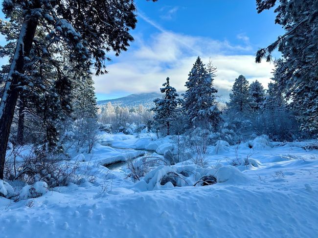 Winter Along Lake Creek | Image 75