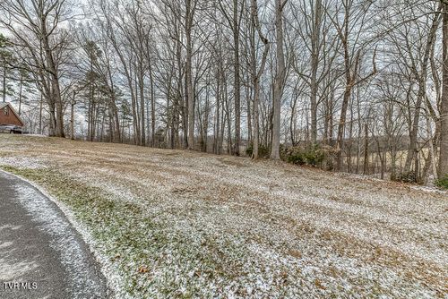 Tbd Victor Drive, Johnson City, TN, 37601 | Card Image