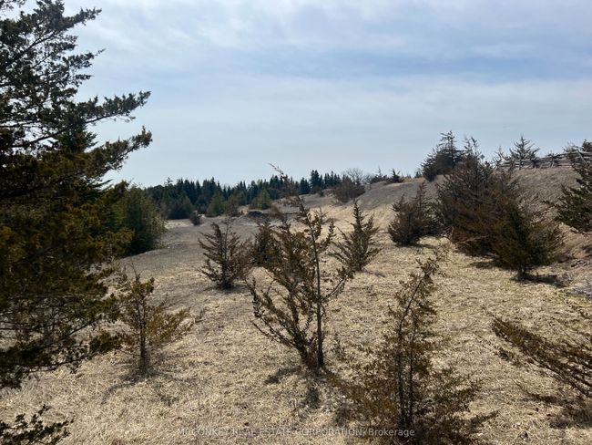12 - 00 County Rd 13 E, Home with 0 bedrooms, 0 bathrooms and null parking in Hastings ON | Image 8