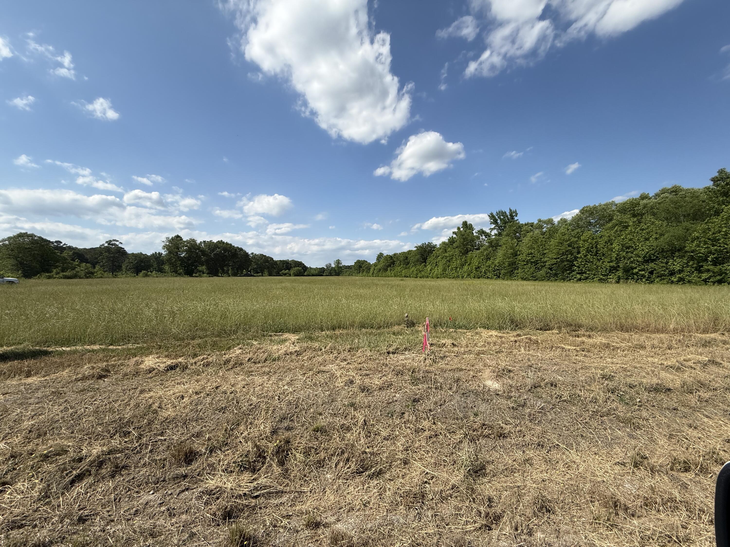 Land in Fulton 3