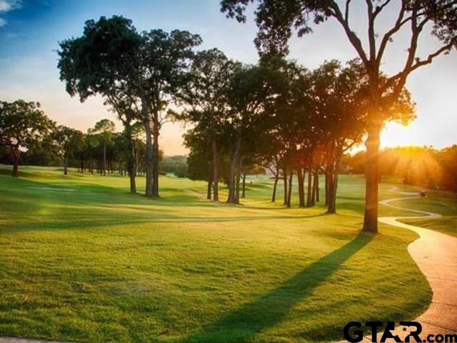 Land in Tyler 4