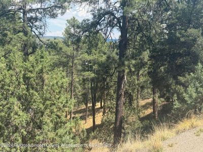 207 Valley View Circle, Home with 0 bedrooms, 0 bathrooms and null parking in Ruidoso NM | Image 2