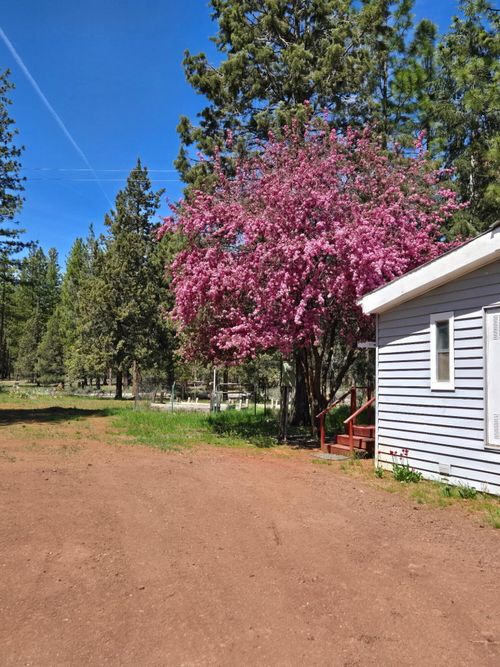 715 Pine Drive, Lookout, CA, 96054 | Card Image