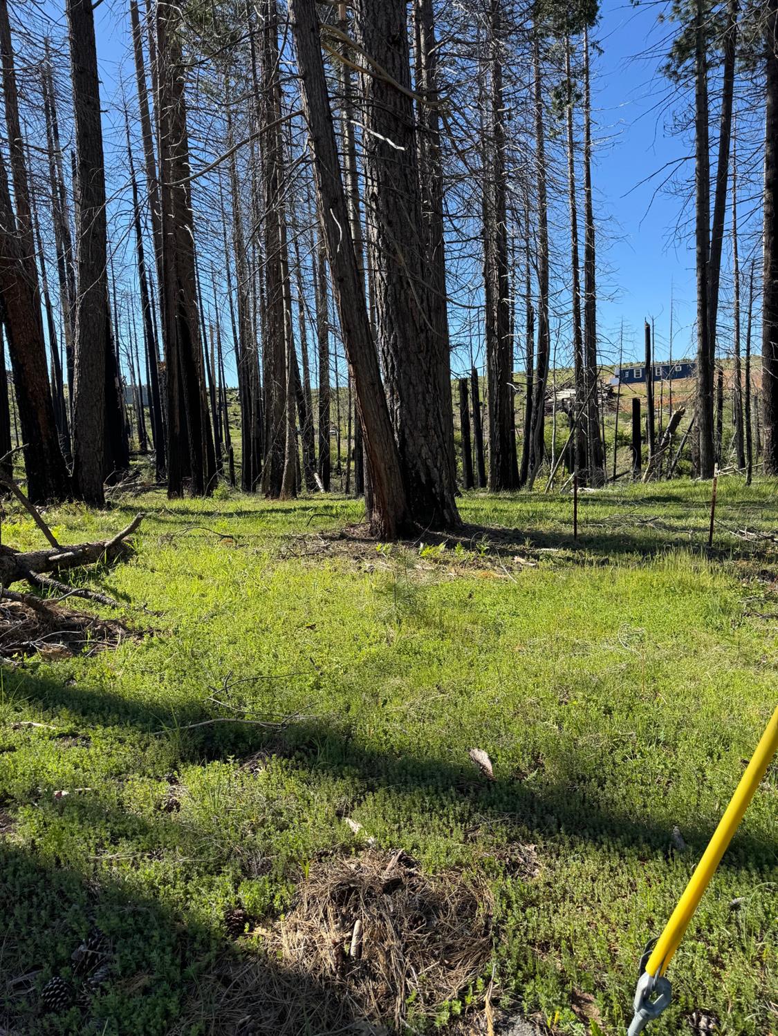 Land in Grizzly Flats 3