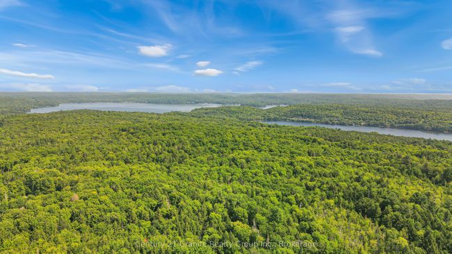 1842 Buckslide Rd, House other with 2 bedrooms, 1 bathrooms and 8 parking in Algonquin Highlands ON | Image 35