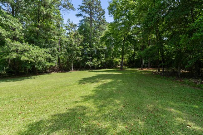 338_Reedy_Creek_Rd-52 | Image 52