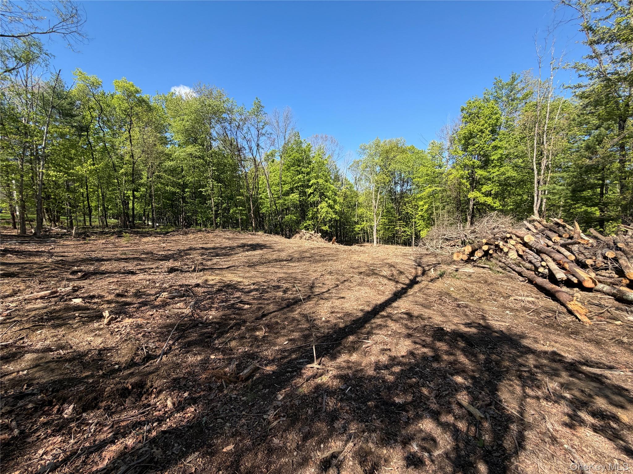 Residential in Wallkill 4