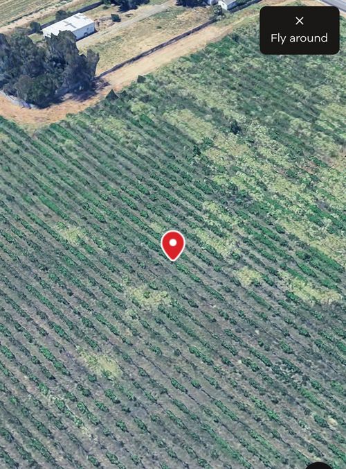 27350 Thornton Rd, Thornton, CA, 95686 | Card Image