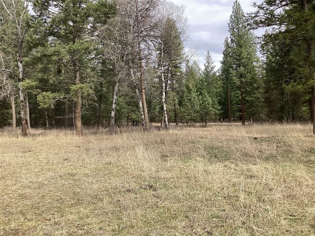 1 Eagle Pass Road, Home with 0 bedrooms, 0 bathrooms and null parking in Charlo MT | Image 12