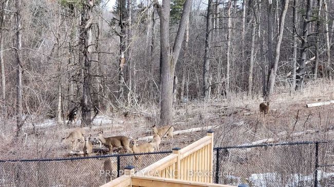 37 Upper Canada Crt, House other with 4 bedrooms, 3 bathrooms and 2 parking in Georgetown ON | Image 29