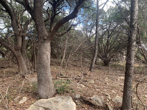 3819 Capitol Ave, Lago Vista, TX, 78645-7940 | Card Image