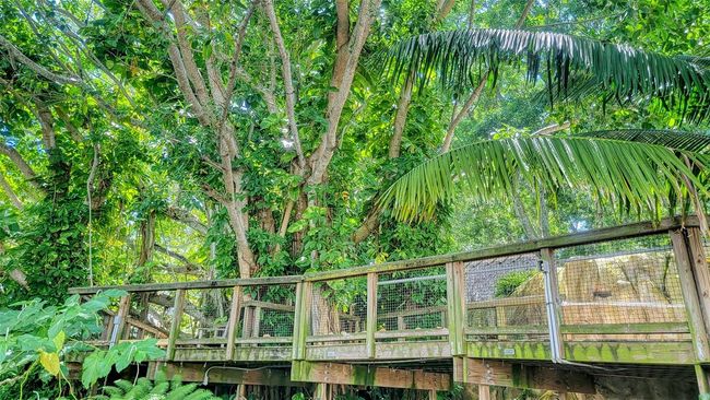 APT-310 - 835 S Osprey Ave, Condo with 2 bedrooms, 2 bathrooms and null parking in SARASOTA FL | Image 89