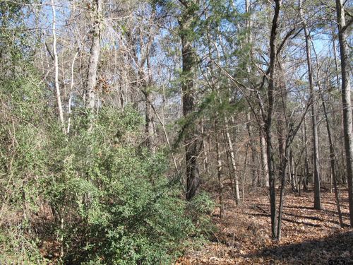 to be determine County Rd 2337, Tyler, TX, 75707 | Card Image