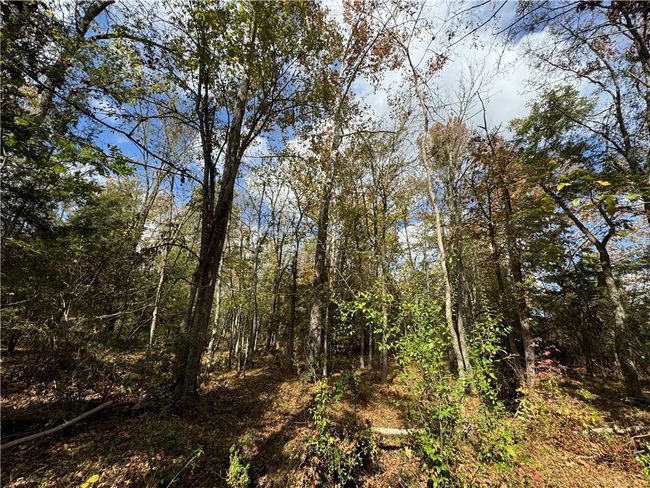 1 Seneca Street Ext, Home with 0 bedrooms, 0 bathrooms and null parking in Calhoun Falls SC | Image 13