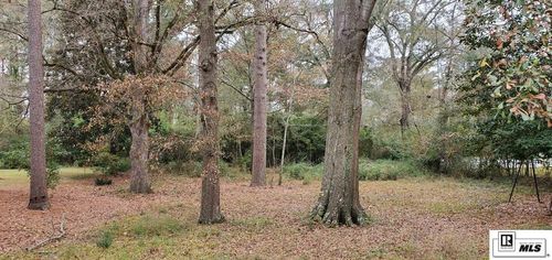 0000 Jessamine St, Ruston, LA, 71270 | Card Image