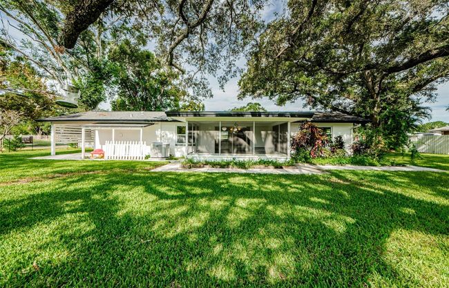 Live Oak Trees Provide Shade and Wind Protection | Image 31