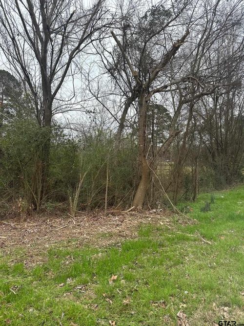 TBD Cr 1804, Jacksonville, TX, 75766 | Card Image