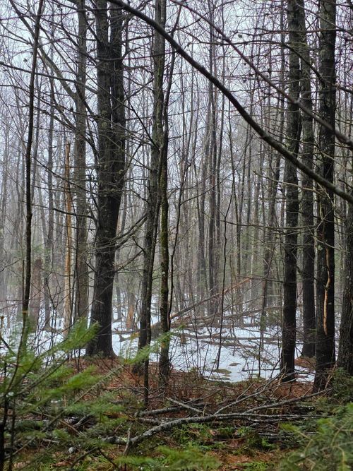 00 Harriman Road, Swanville, ME, 04915 | Card Image