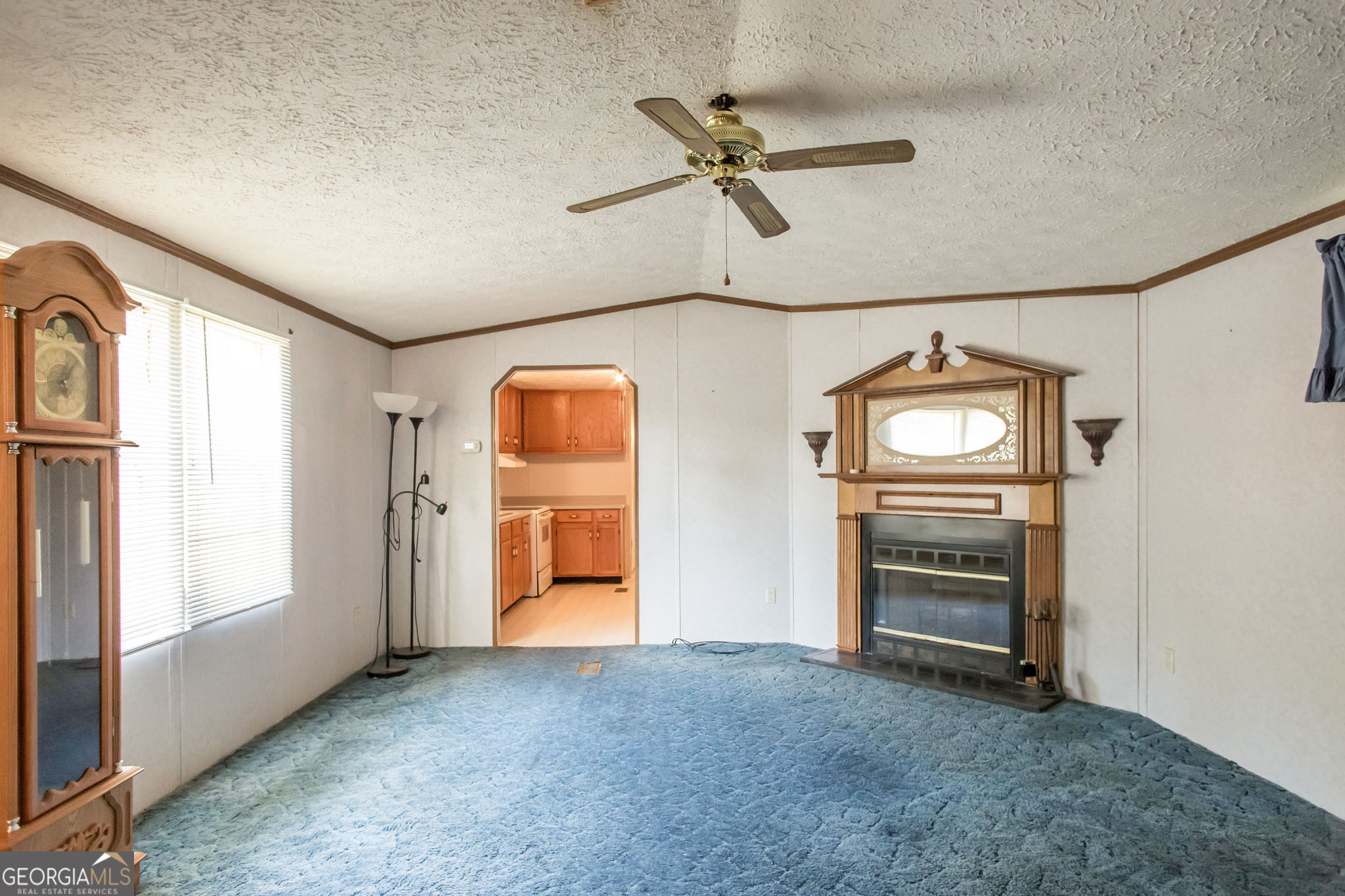 Residential in Blackshear 4