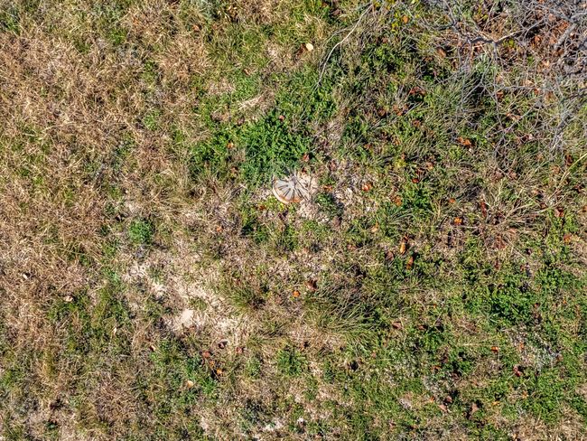 Water well | Image 8