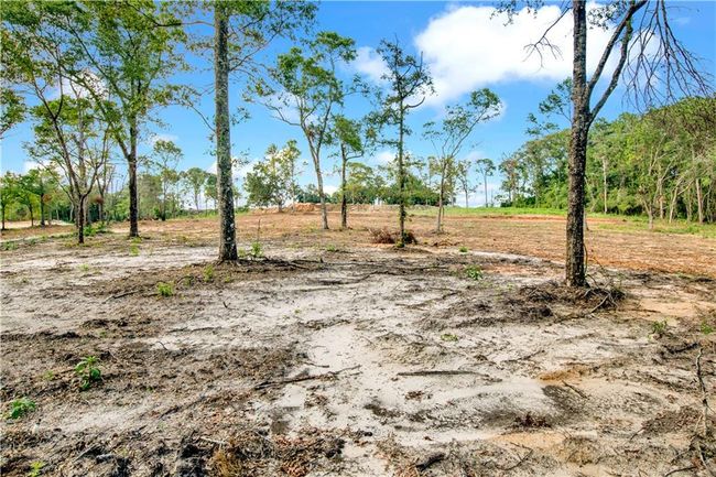 3351 Salco Rd W, Home with 0 bedrooms, 0 bathrooms and null parking in Chunchula AL | Image 5