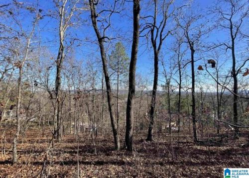 1429-1429 Hilltop Ter, MOODY, AL, 35004-2406 | Card Image