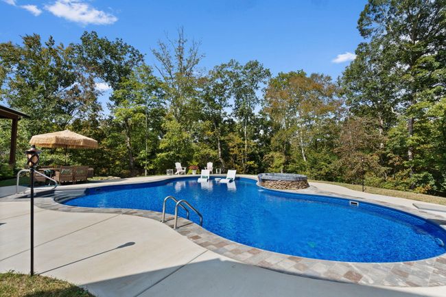 Saltwater pool | Image 19
