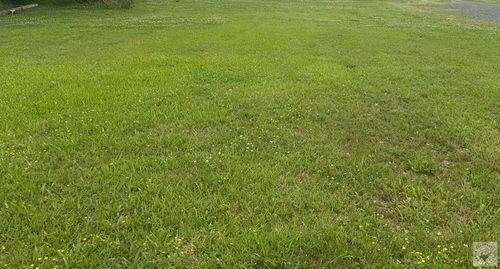 TBD Odom St, Hooks, TX, 75561 | Card Image