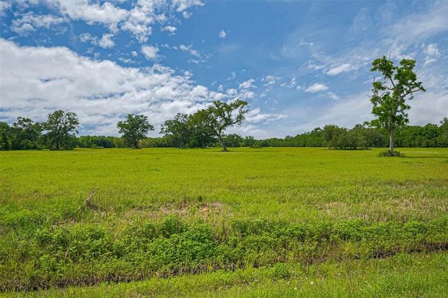 2015 Summers Rd, Home with 0 bedrooms, 0 bathrooms and null parking in Damon TX | Image 13