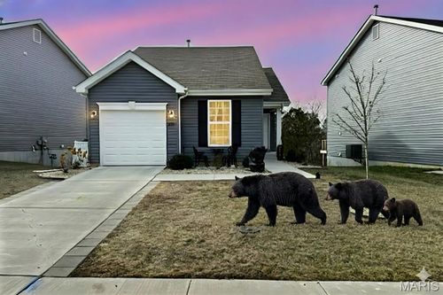 821 Black Bear Dr, House Springs, MO, 63051-1545 | Card Image