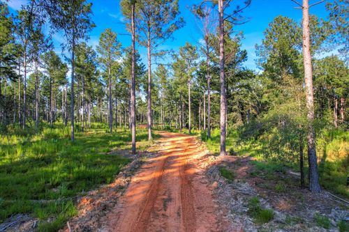575 Rabbit Pen Drive, Appling, GA, 30802 | Card Image